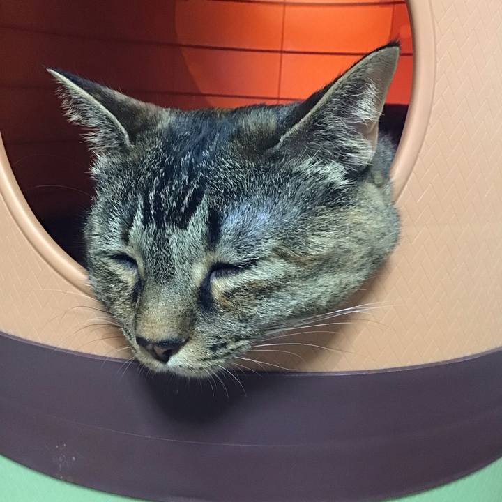 Aef87934 d8e9 459f a350 bae890bfa0c5 1720329733216