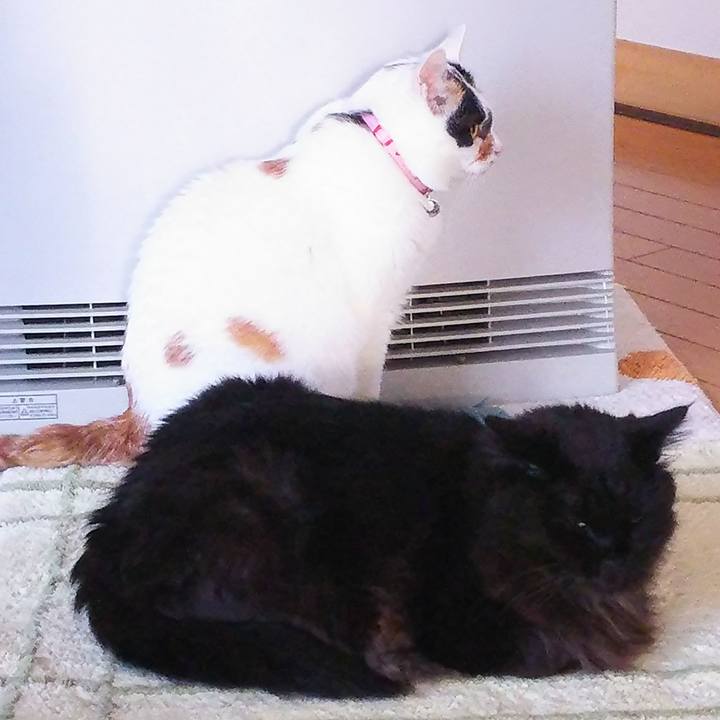 Aef87a56 ad17 46a7 b5ad fca5d54c37b4 1510181077476