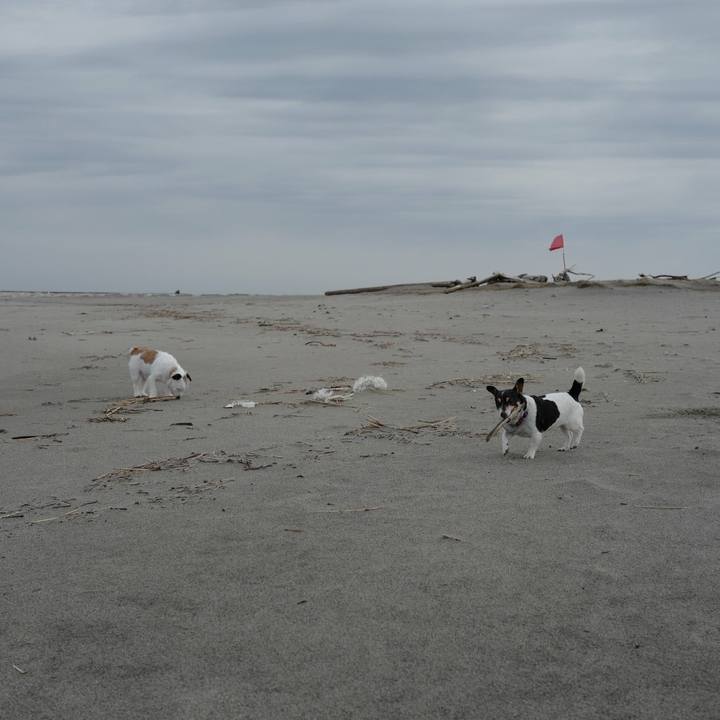 Aef8942c 1e32 444e 91f3 f80255386056 1523506298576