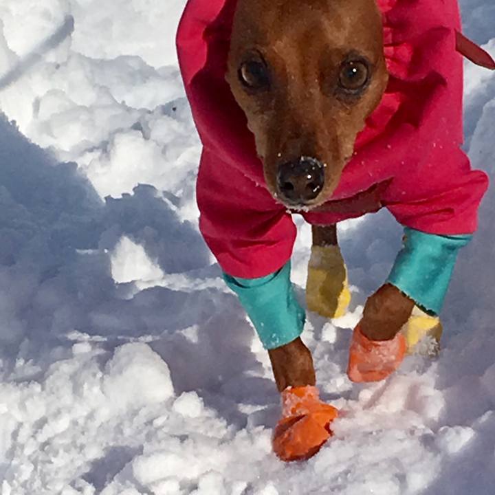 Aef89768 7861 41ae bebd 7f6f4252ec8c 1608370287458