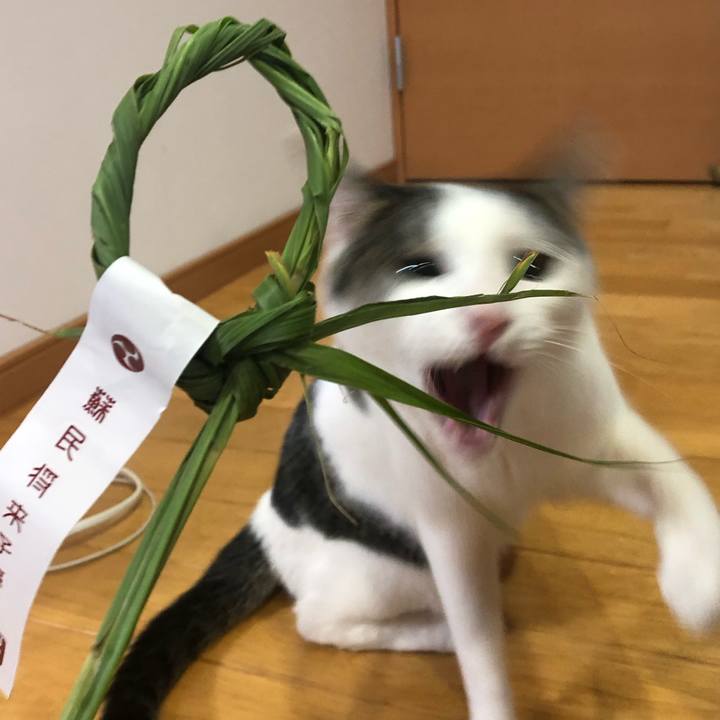 Aef8d74d f96e 4a76 905c d2580dc1a1f2 1691405537558