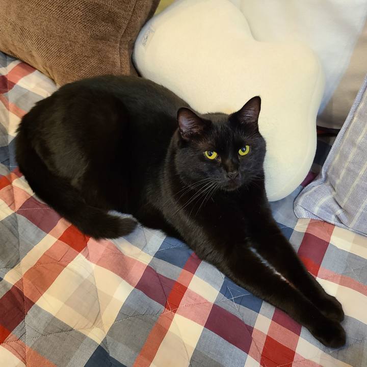 Aef8f846 6328 4026 a9d6 688e39ab4dad 1669961072992