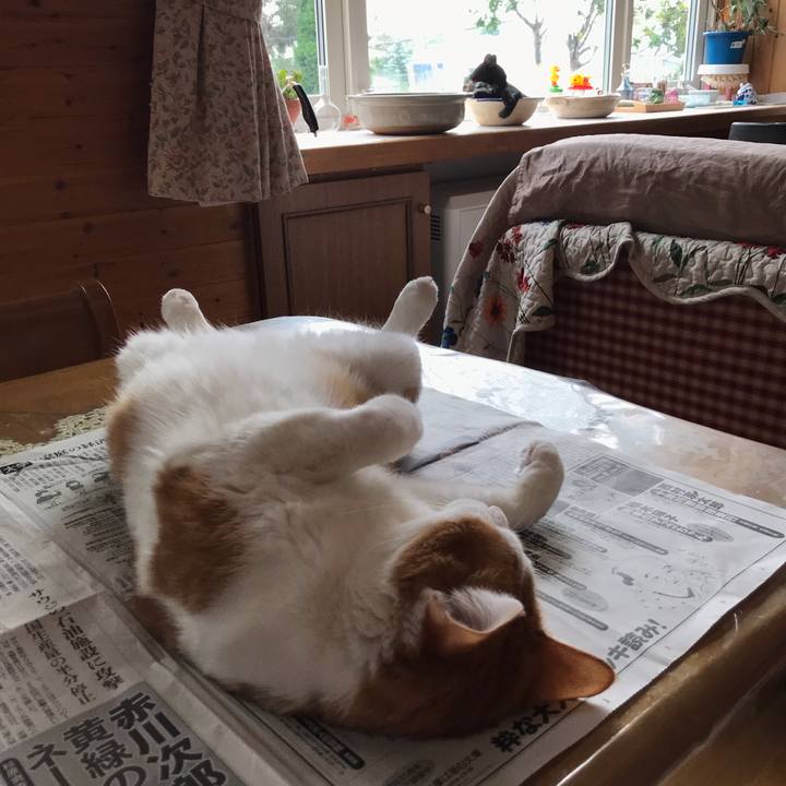 Aef900fa 682e 4eb8 a47f 81b345e6545c 1568590008193