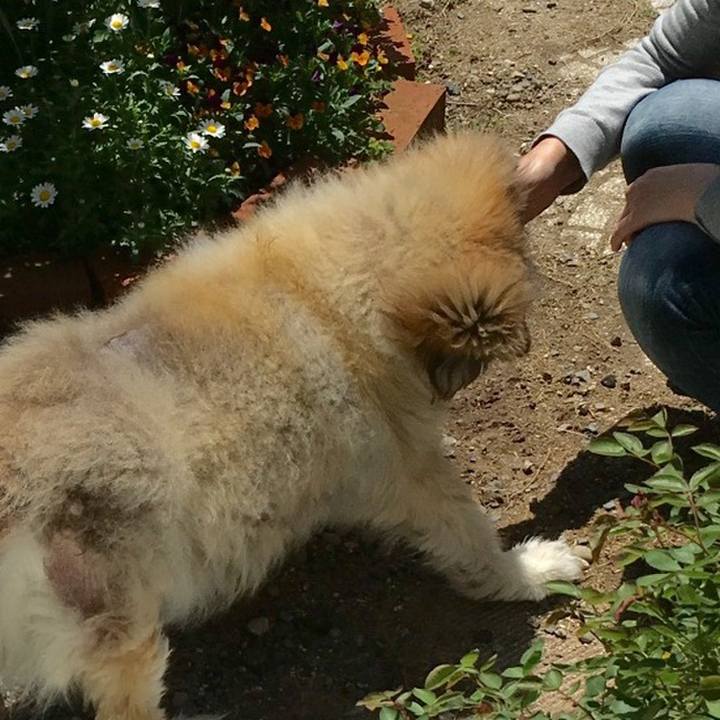 Aef90560 bc26 463c aa85 82fe4426df30 1584397961273