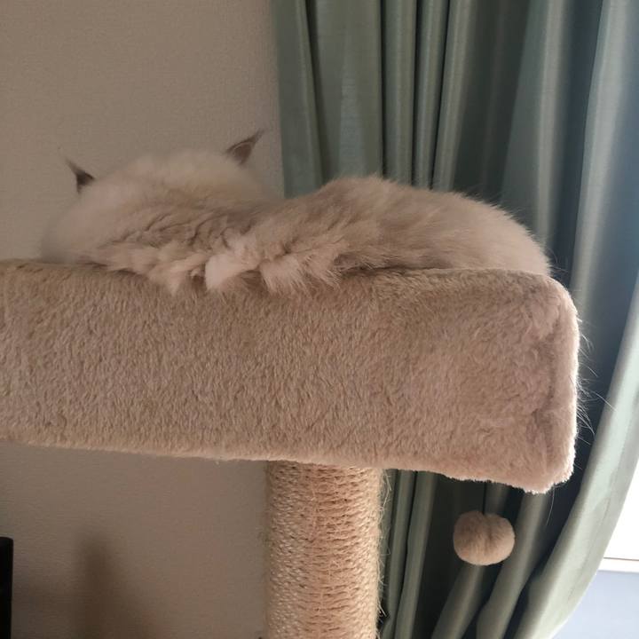 Aef93959 9934 46e3 b48e eda7886403ce 1694382841541