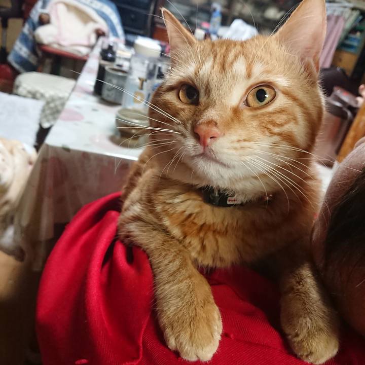 Aef95e7c 360a 40e5 8d45 aac8256e2d12 1647519181184