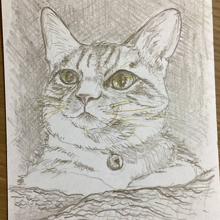 Aef96541 c317 4f03 81d1 3af861eff2ea 1675909995319