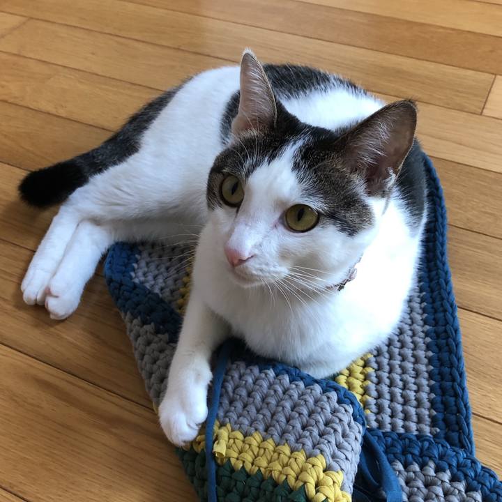 Aef96b4a c321 4dd6 be21 08cc0d4b5c02 1601275108103