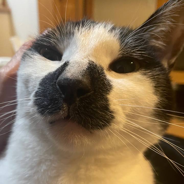 Aef96fde 5f59 44a4 b637 e532389e7fde 1769161132407