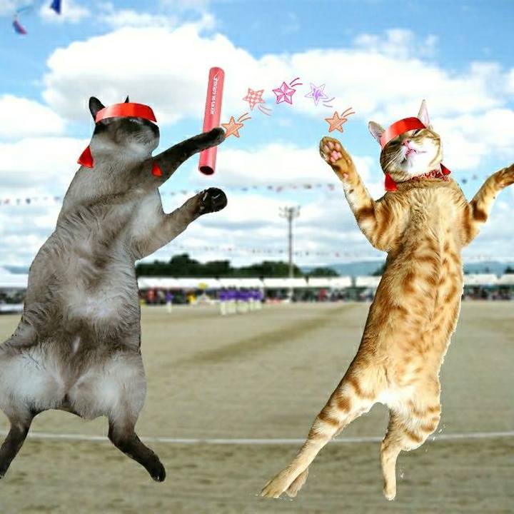 Aef9937d da73 414f b493 76e48f530472 1539437127757