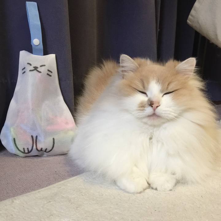 Aef99b1f d87c 436b af05 e32aa39ce676 1521369206465