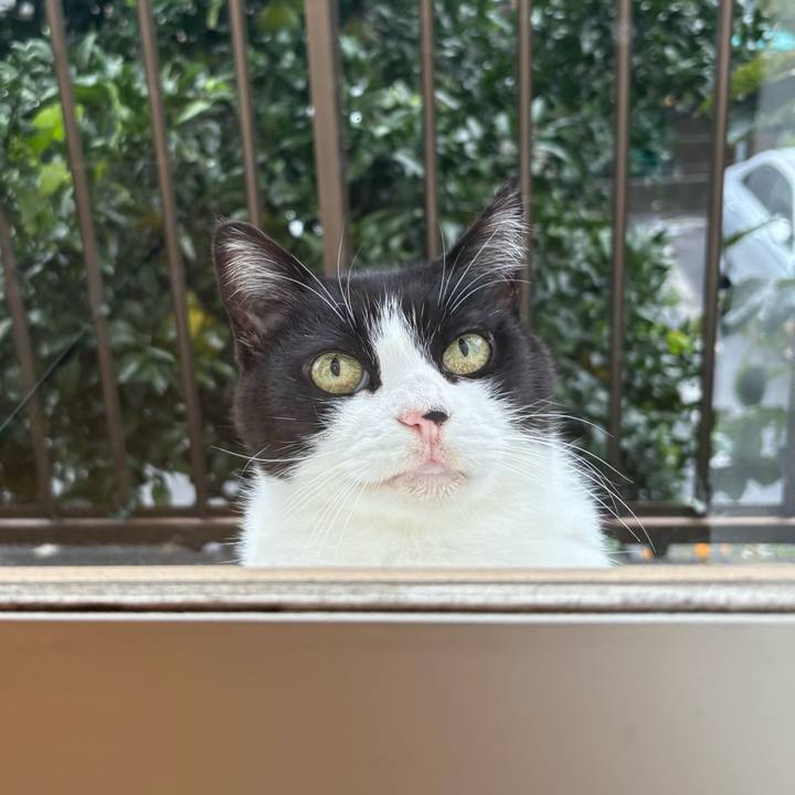 Aef9ab4f a147 474d a5a9 7d315645e07f 1761473916125