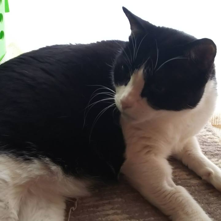 Aef9dde6 f18d 4a47 bbad 87182af8c735 1585972493256