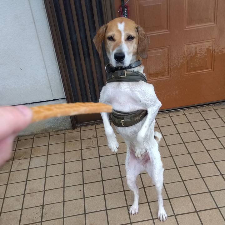 Aef9e2c7 1d1e 4501 8eed 26fda7a8cb11 1687321344120