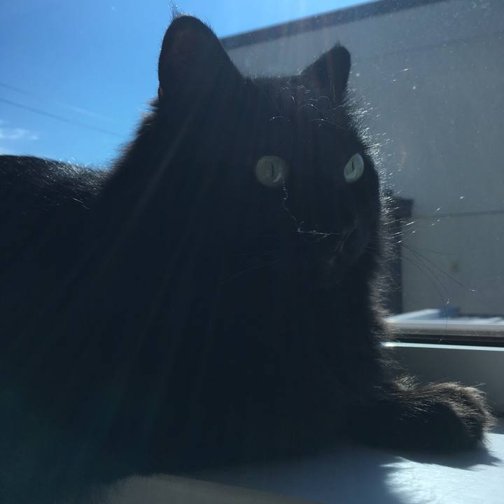 Aef9fffd e921 4d2f a3a8 1800a489afce 1560919600522