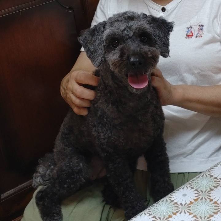 Aefa1e8d 12fd 489d a709 c037c7661861 1695036332405