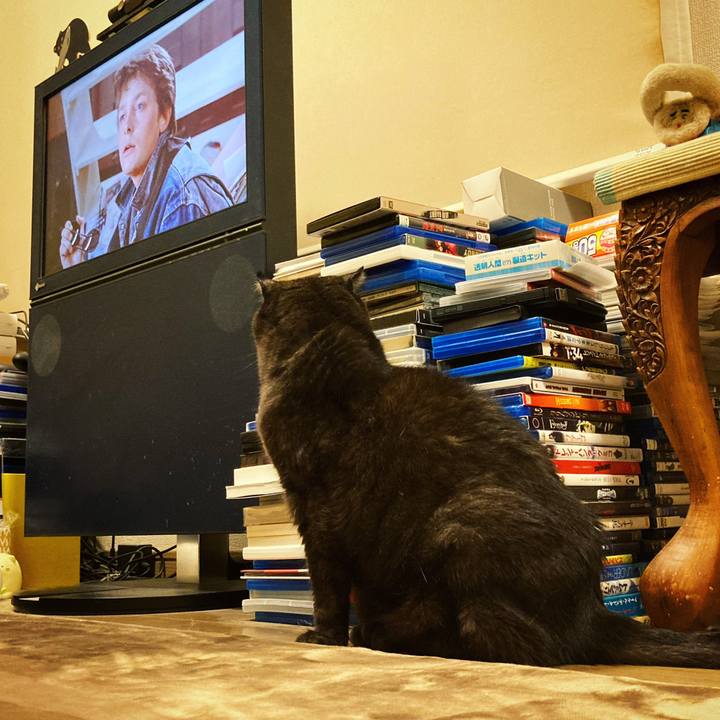 Aefa5554 d33d 451c be0e af56643aef4a 1591963837545