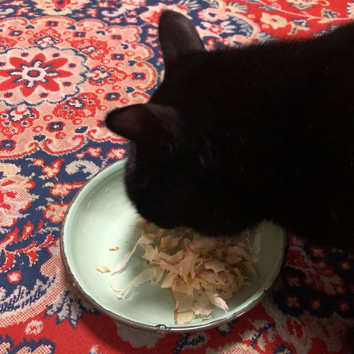 Aefa72c8 ad0d 4c04 a5f3 dacbf0246a58 1556704781220