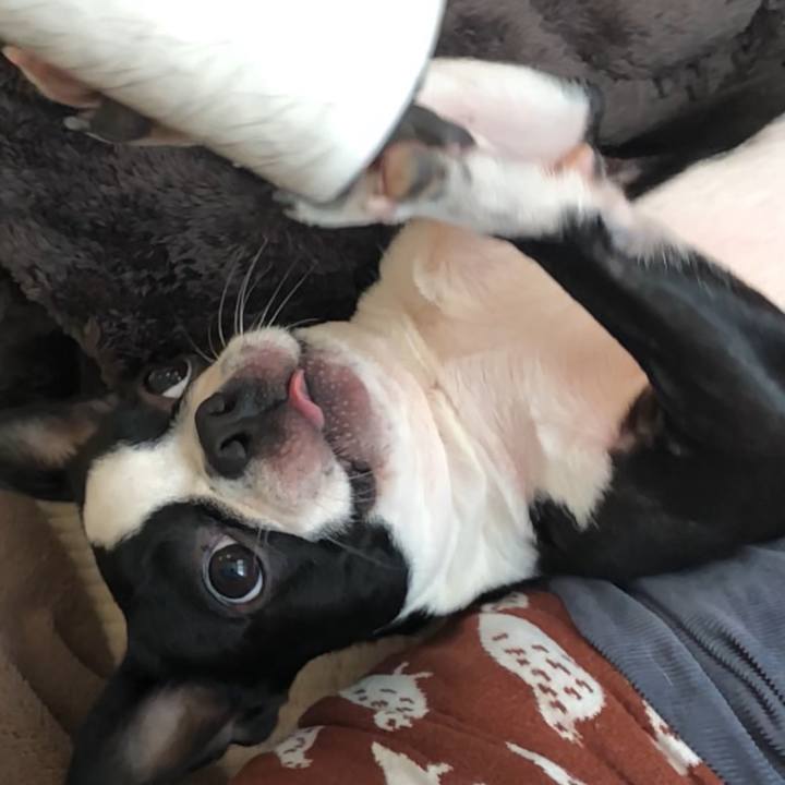 Aefa7471 cbcb 49ef 99fd ad39ffd1efb0 1541201306973