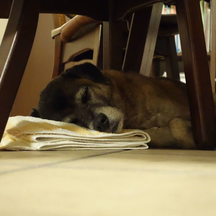 Aefa9d3d af10 45d2 a219 b3c6a96025dd 1512216382099