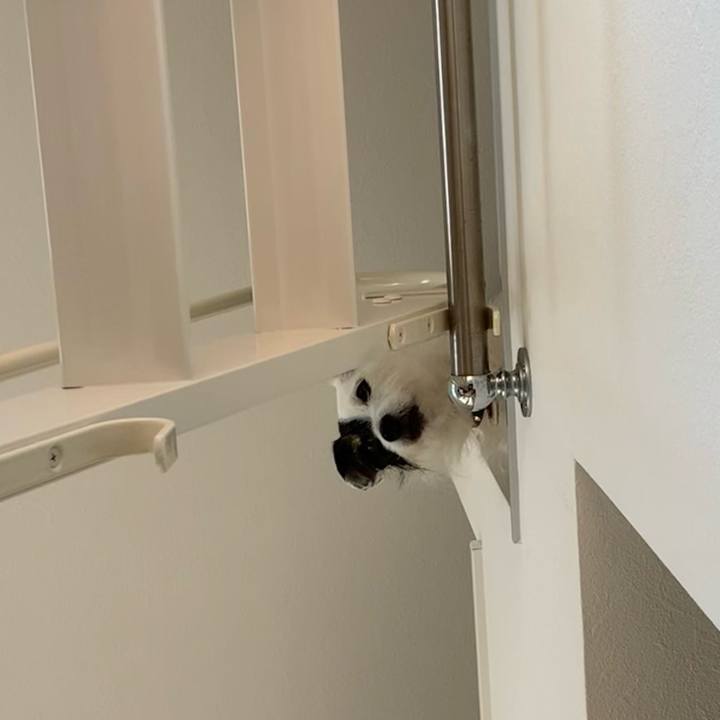 Aefabcec c690 4f34 be0c 1f7ff95a501f 1717469311987