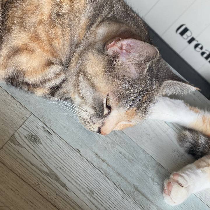 Aefad825 0a26 47e1 aedb 35aaedd9db8d 1593219699086