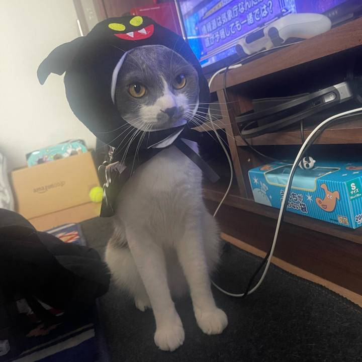 Aefadc7c a858 44d2 8157 b2be7efac239 1635661697909