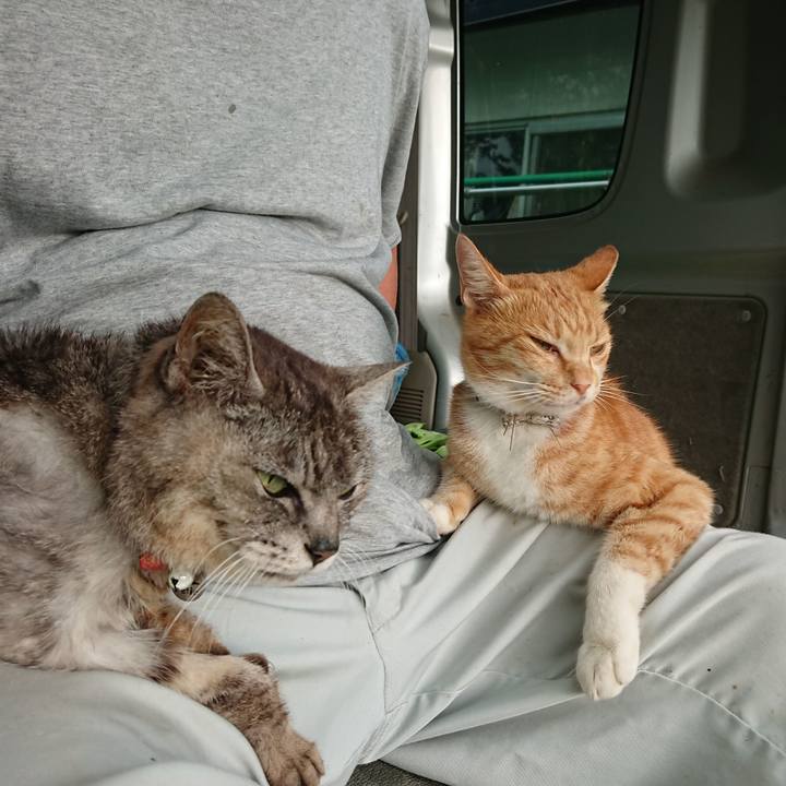 Aefae4ff 266d 4619 bd2e 6a1e4b756a34 1596233985271