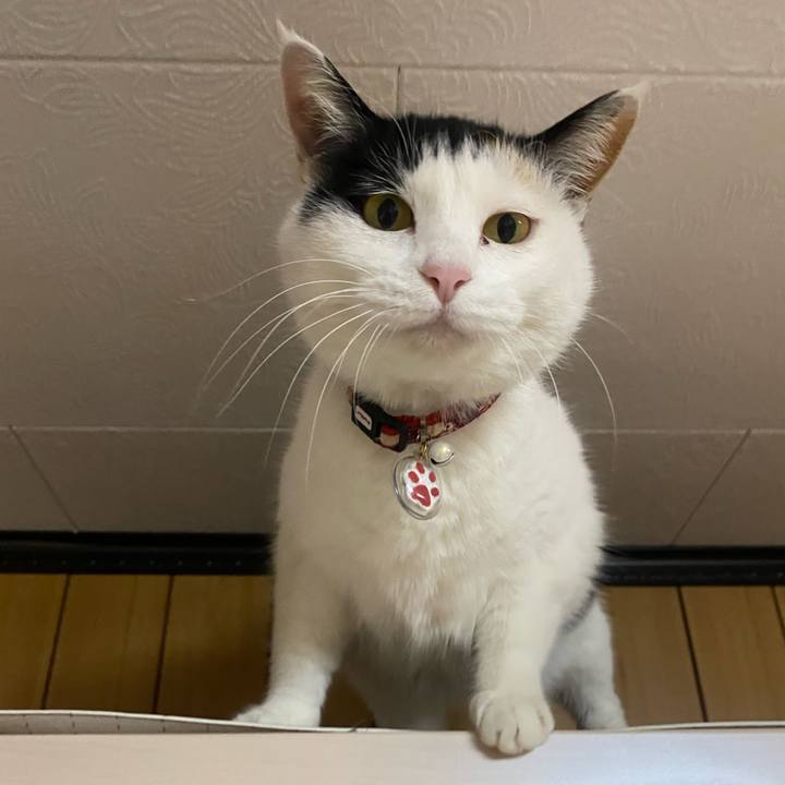 Aefaea65 529f 4750 9103 3fa1c3d8f743 1644498791019