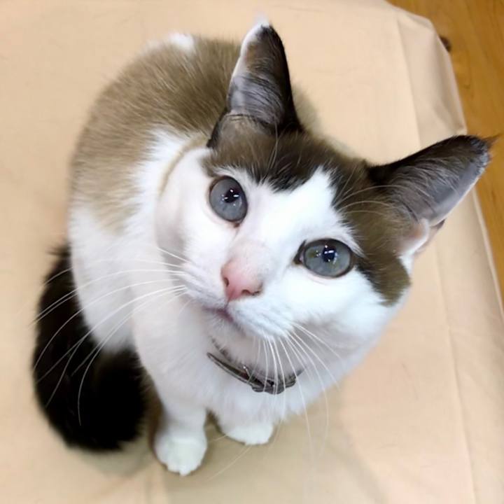 Aefaf543 3427 4374 8a3b a9e89b51219b 1570069155502