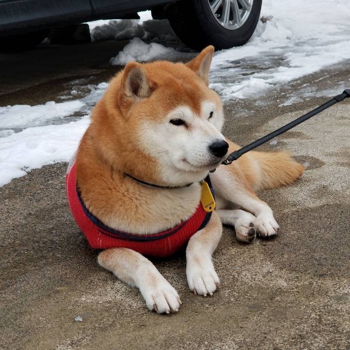 Aefb4aa6 227b 4865 bf97 6186aa0ae130 1608275133213