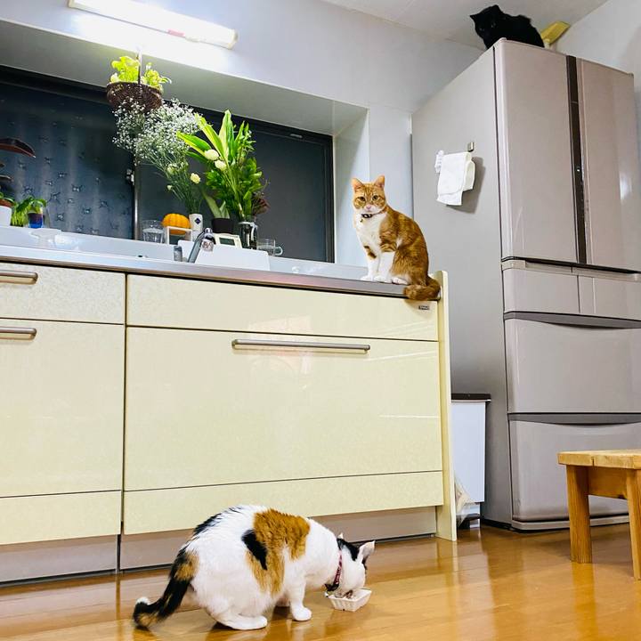 Aefb75bd 38fa 4d2b 8f2c 62f0e5219d4e 1676027162202