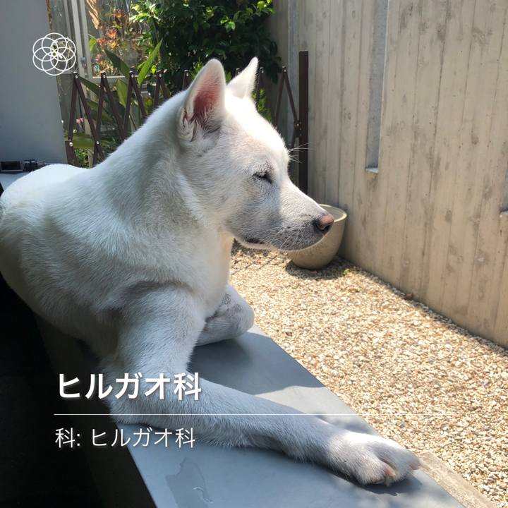 Aefb94dd fafd 4884 83d2 edc4ff4bb124 1590289742137