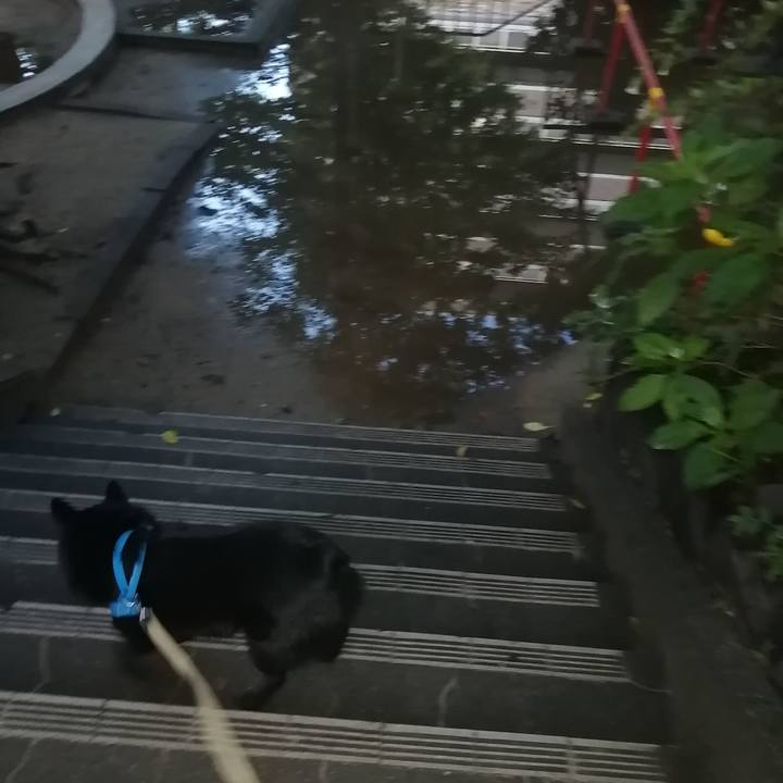 Aefb97d4 b3f7 48ba 81b0 7563eadeba66 1629365751313