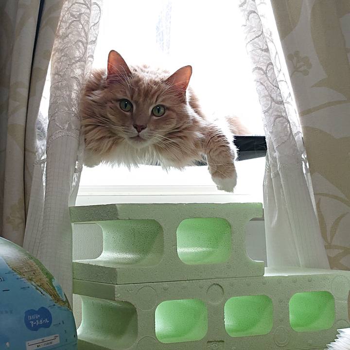 Aefba70a 9f7d 478a be55 991e75bc5dbc 1613268594841