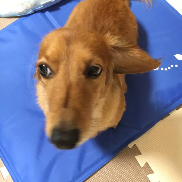 Aefbfffd df42 460a 8ffd cdd05d90e48d 1533305380518