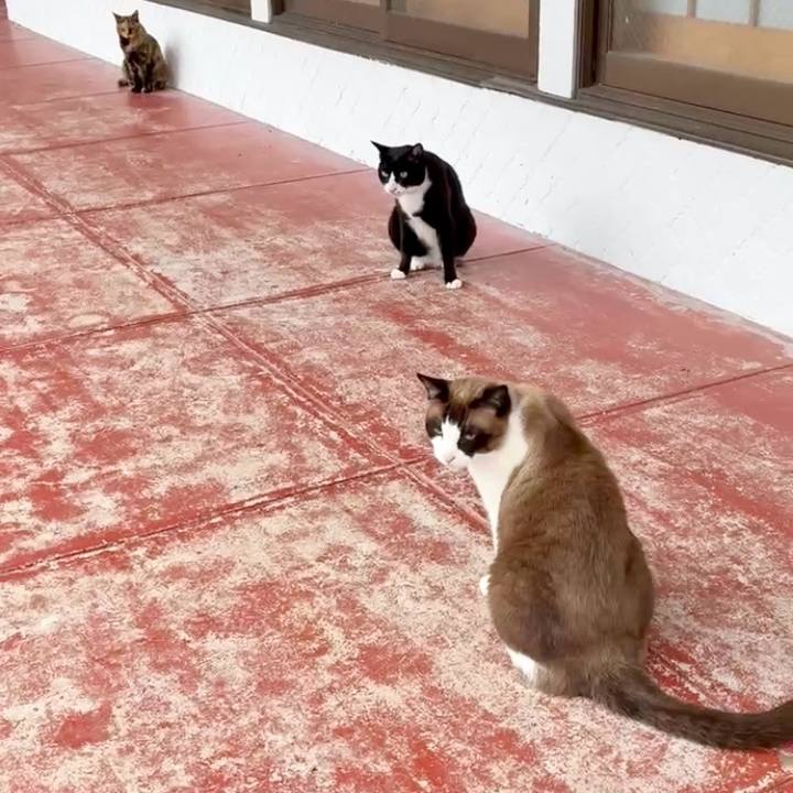 Aefc1e66 7c6a 4a58 94db 43edd93e40c4 1752458584388