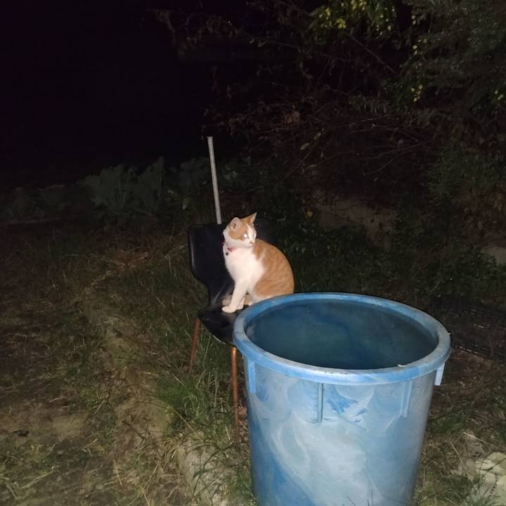 Aefc2538 ee53 44d4 ac7e d810d0f4cba9 1759051751123