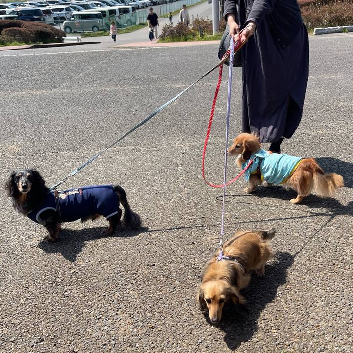 Aefc2583 60be 4935 9df5 199daa7761c1 1680387888110