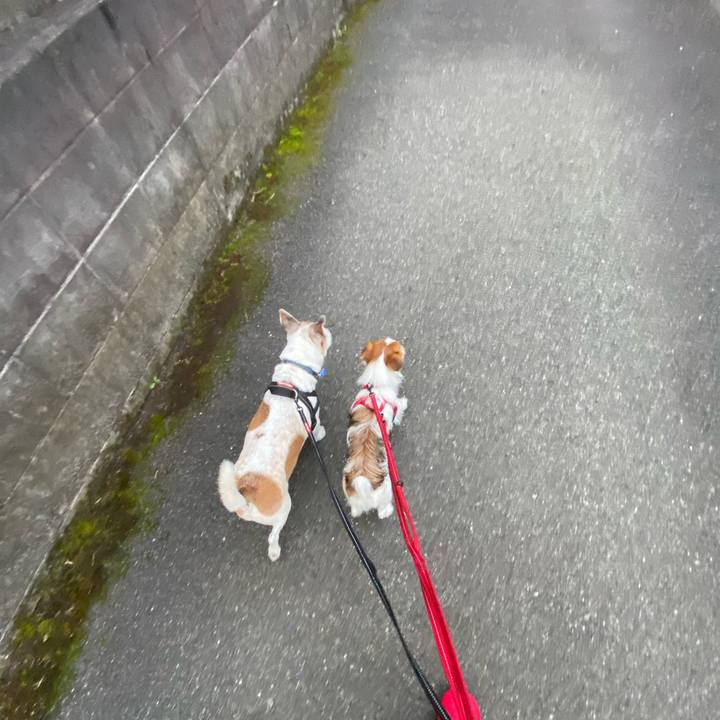 Aefc52ab 826a 447e bf61 b5334566a376 1635802305640