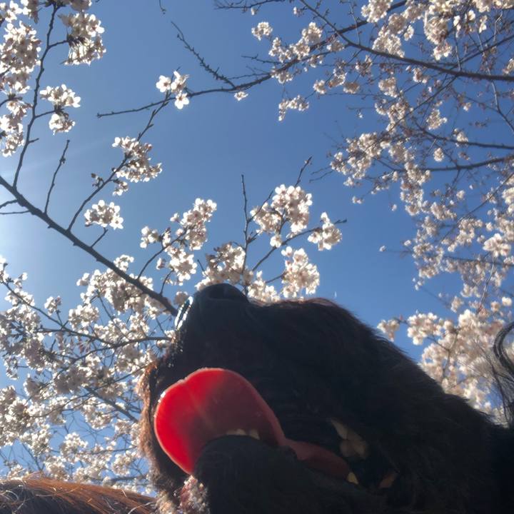 Aefc637d 8ff2 4758 b52f 08680d3d21d7 1586003174560