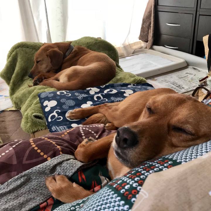 Aefc75e6 e3bb 45c1 b705 4e6fdba2af75 1525159901260