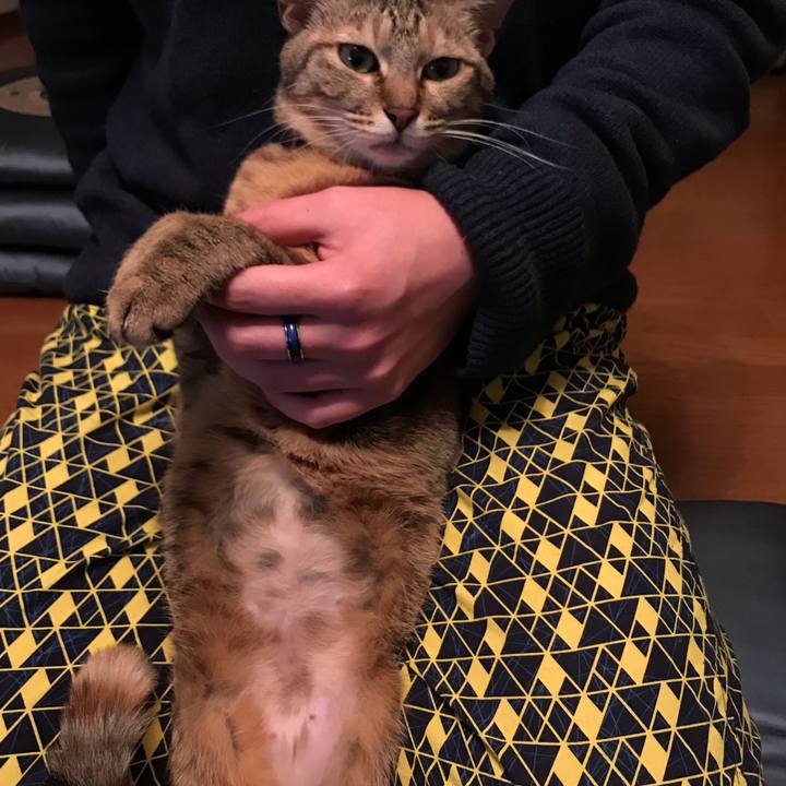 Aefc8051 f334 4b93 b1f6 16eb76d152fe 1583059491436