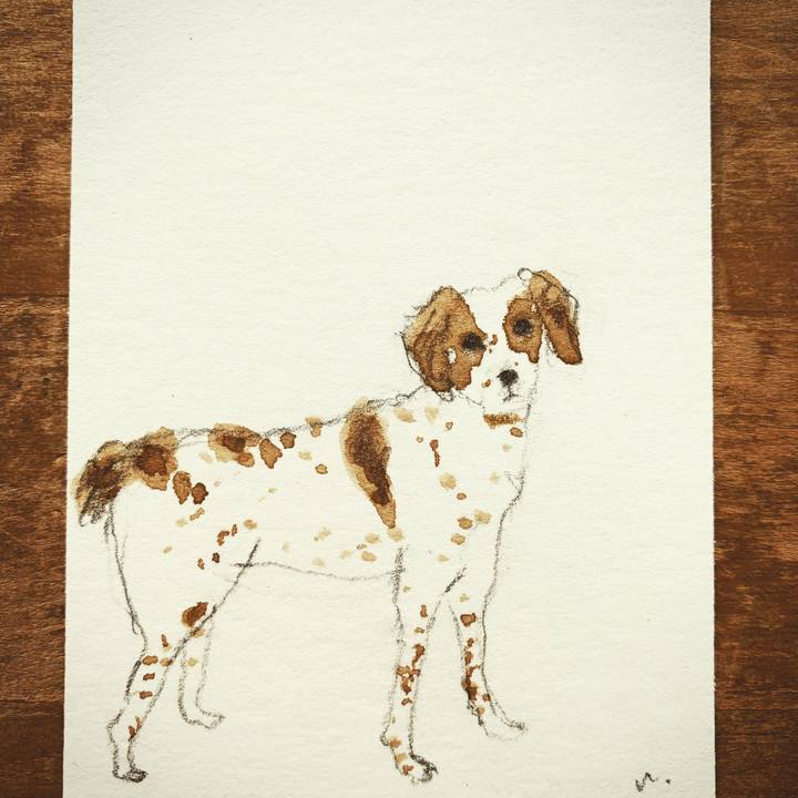 Aefc886a dba3 4faf 846a 678b9069aacc 1611881741119