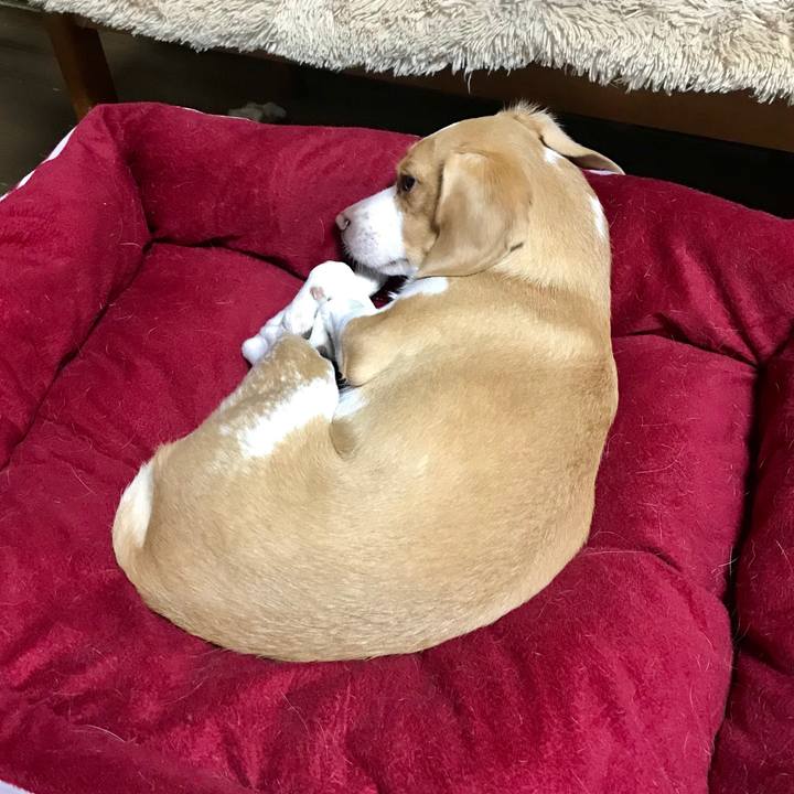 Aefc9756 e4b0 4faa b603 5f104c8bdd6a 1565255342274