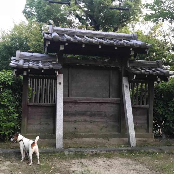 Aefc9c73 b628 46ef 8c97 554954acdfe8 1528112602375