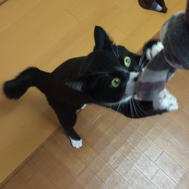 Aefcd094 fe3f 4314 961c d7adf9e519a2 1511002651929