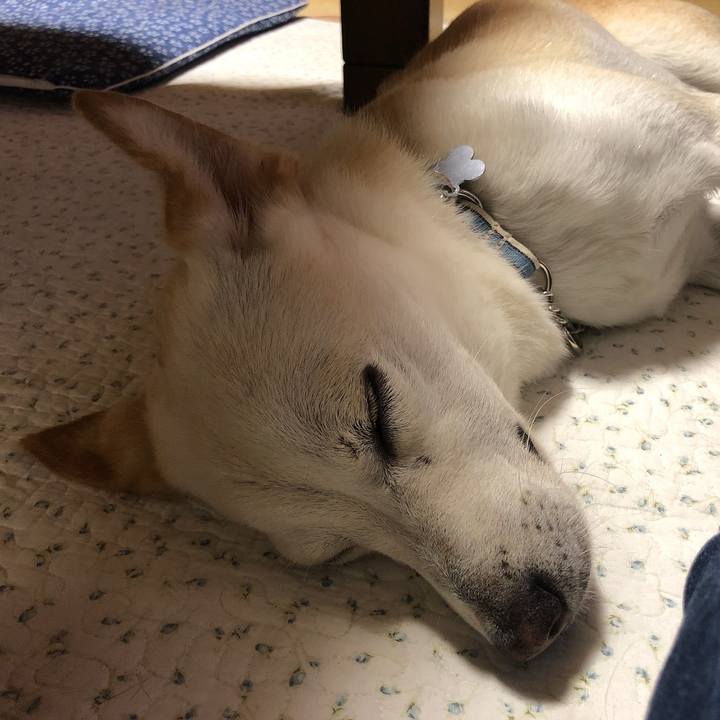 Aefd0577 3f64 4752 ba47 3cf55138cc79 1629033748787