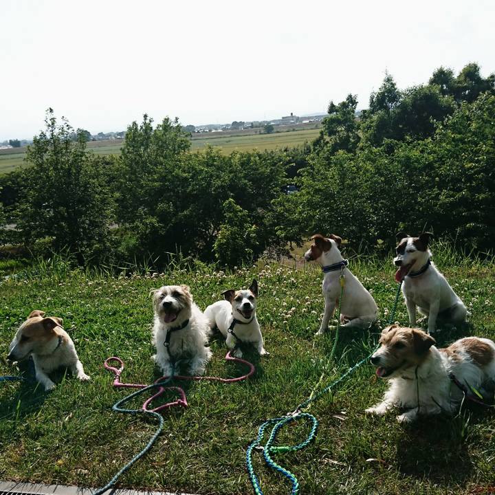 Aefd0d7f 8961 4c05 8013 26b4648242e2 1558255447236