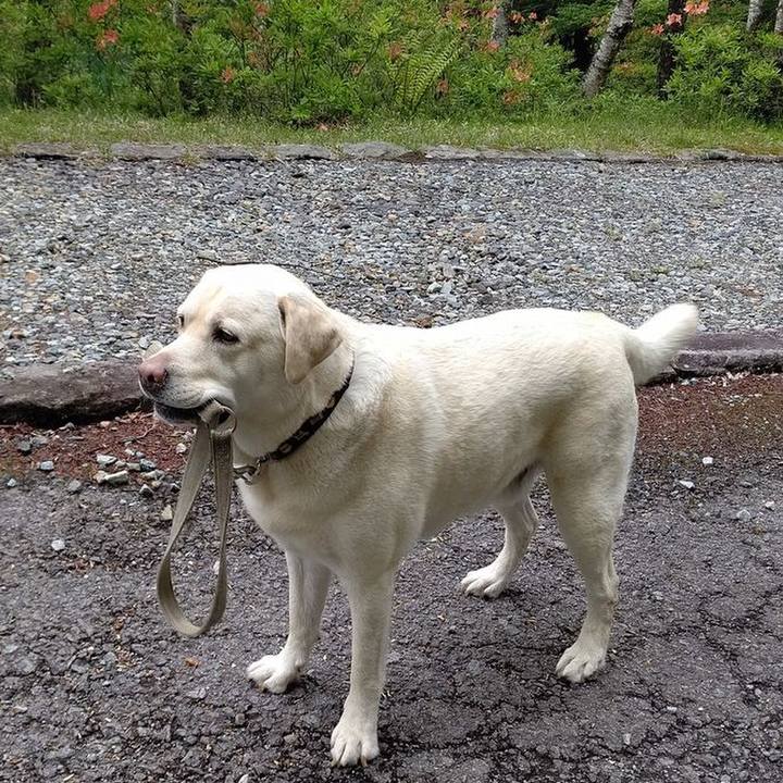 Aefd0f60 4b5b 407f 8fbf 7e3c11faf7f0 1654573537600